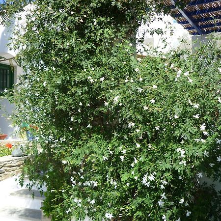 Porto Vlastos Агиос Йоанис Екстериор снимка